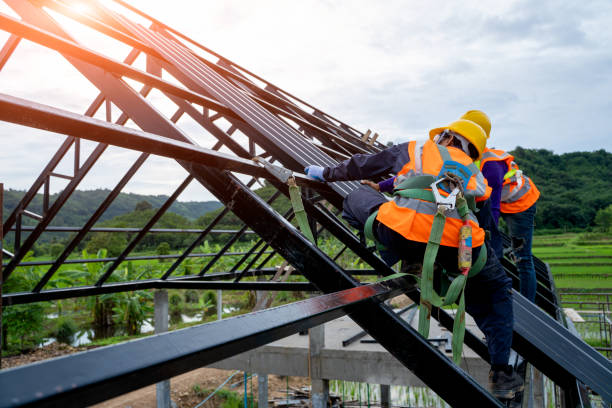 Quick and Trustworthy Emergency Roof Repair Services in Town N Country, FL