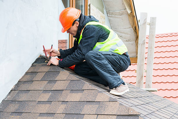 Residential Roof Replacement in Town N Country, FL