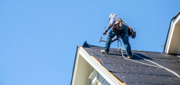 Best Roof Gutter Cleaning  in Town N Country, FL